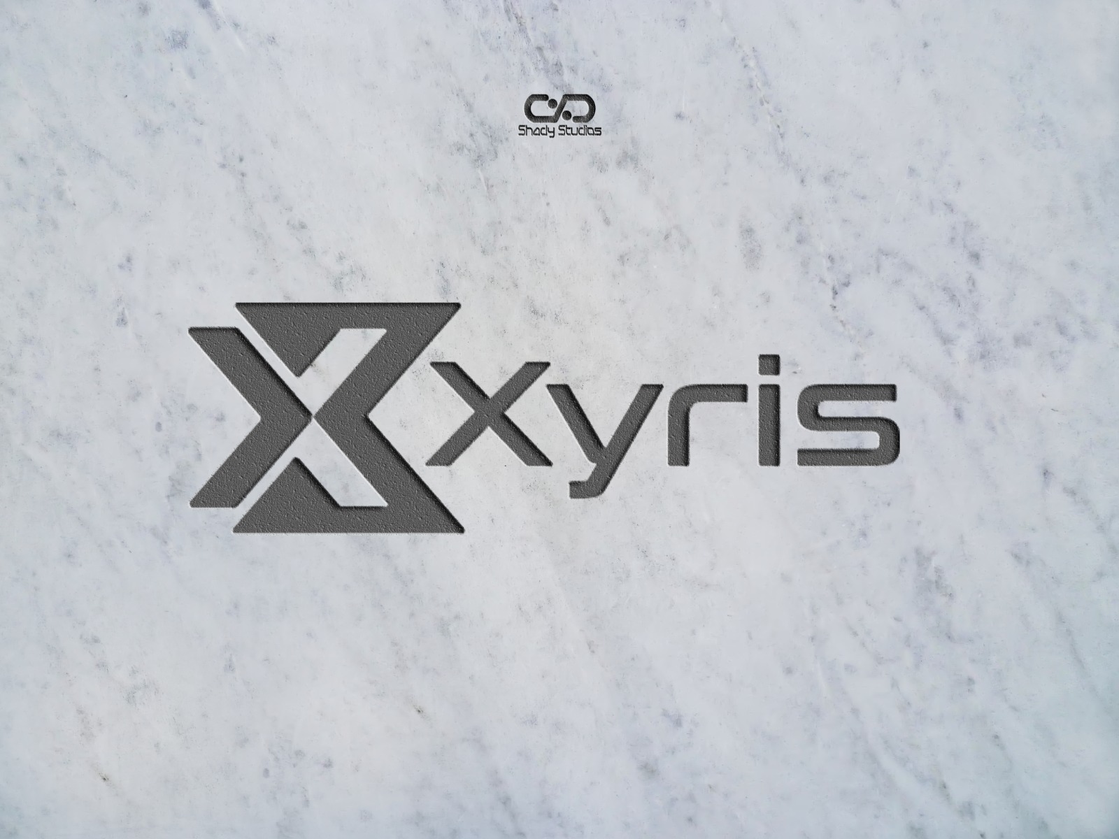 Xyris